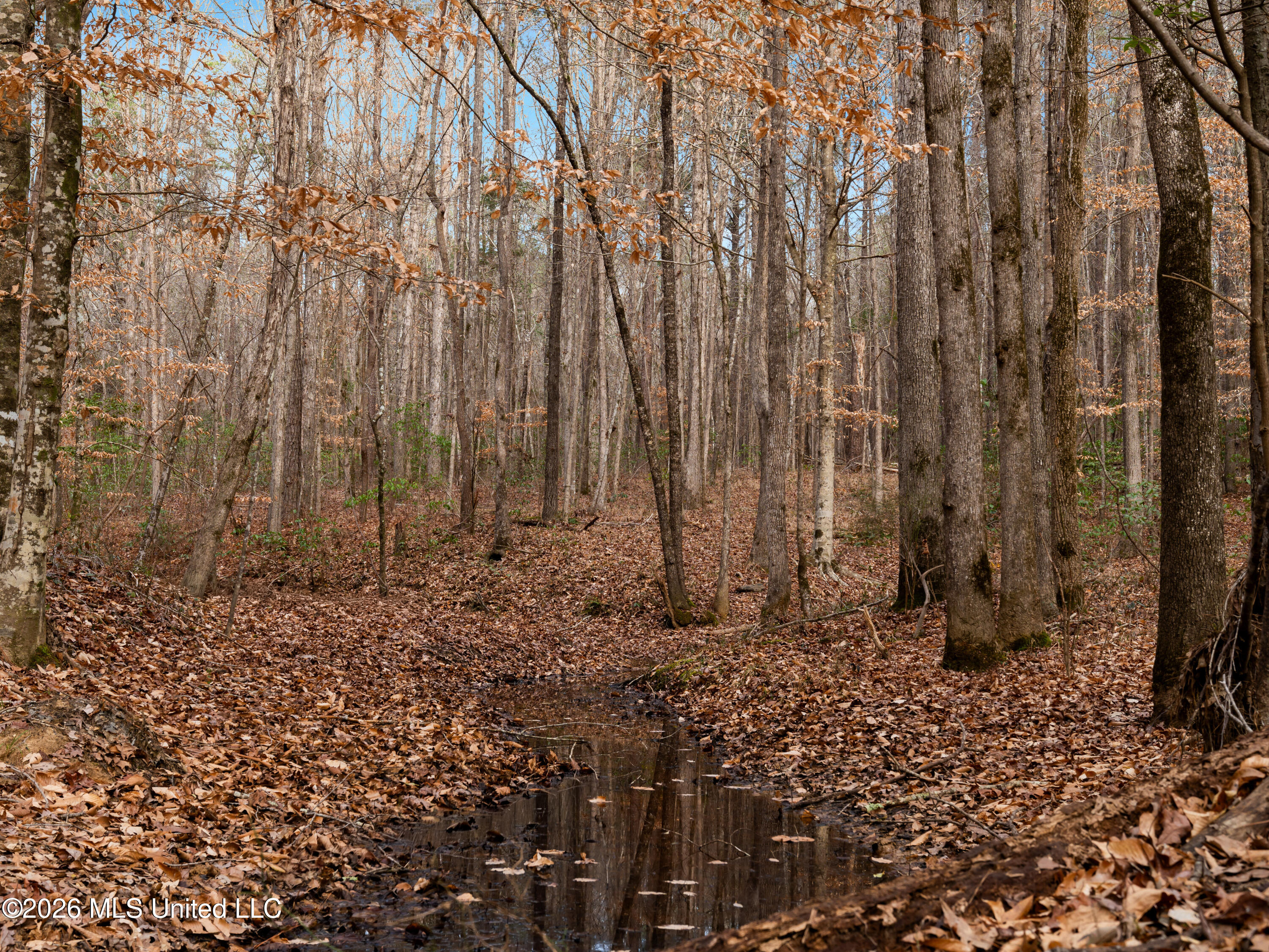 0 Utah Road Lena, MS 39094 - Photo 14 of 36 A7401751