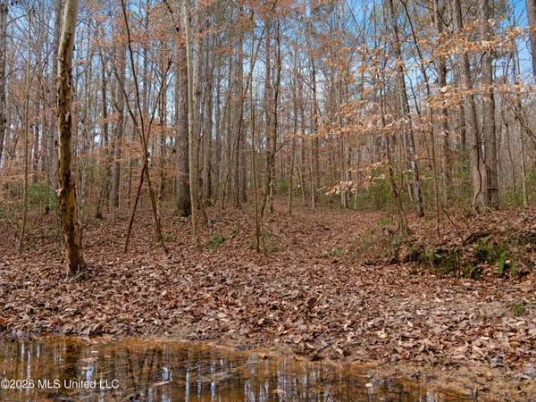 $159,600 | 0 Utah Road, Lena, MS 39094