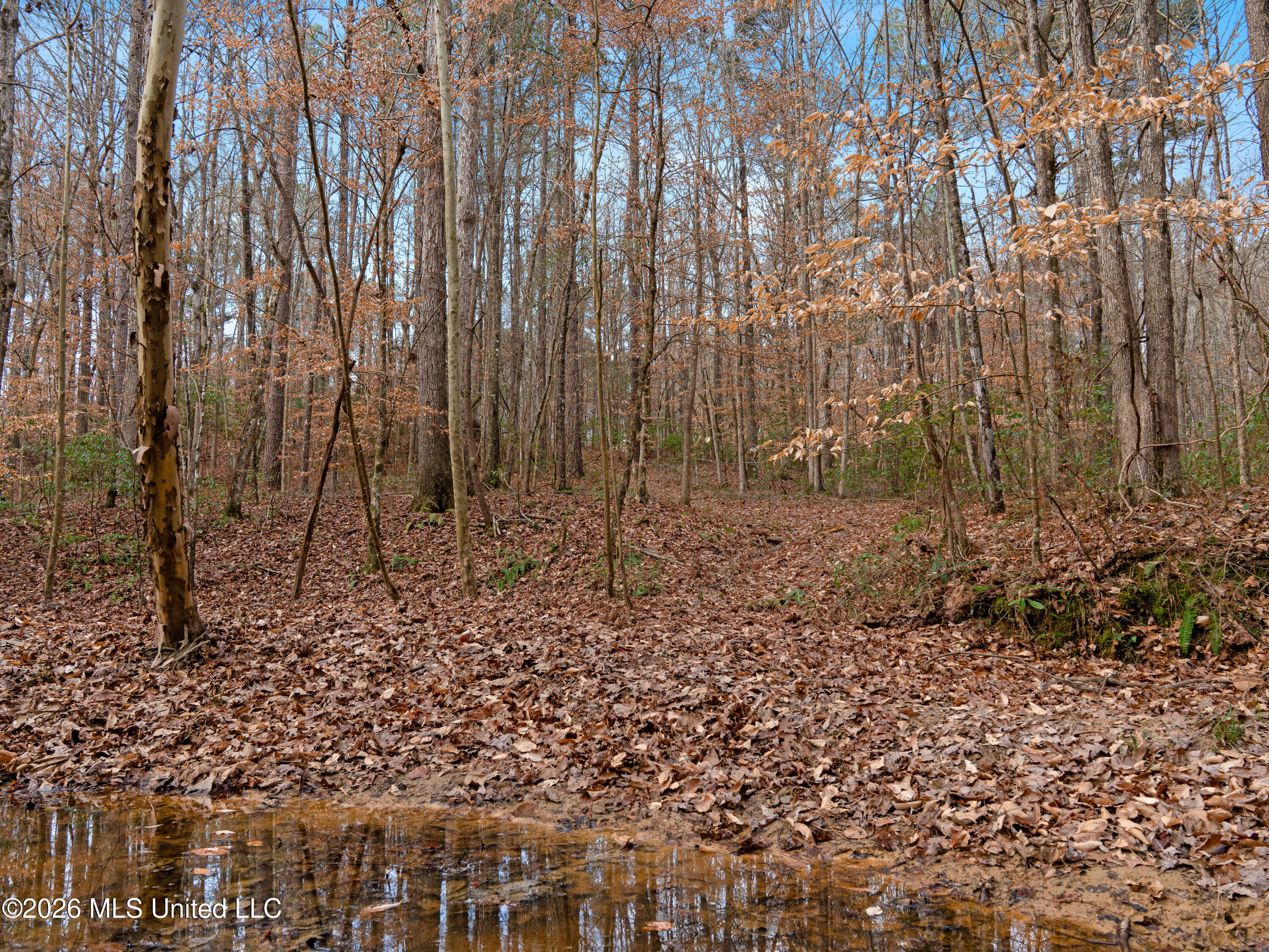 0 Utah Road Lena, MS 39094 - Photo 15 of 36 A7401752