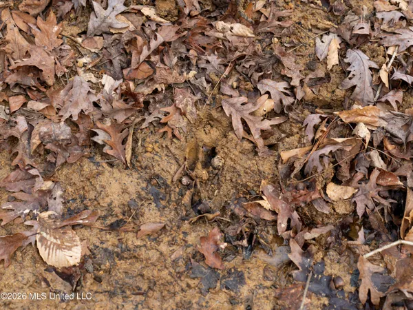 $159,600 | 0 Utah Road, Lena, MS 39094