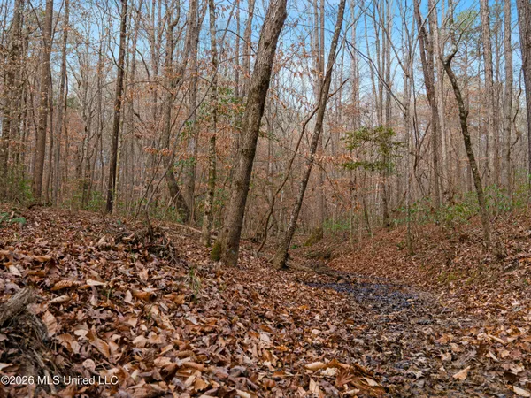 $159,600 | 0 Utah Road, Lena, MS 39094