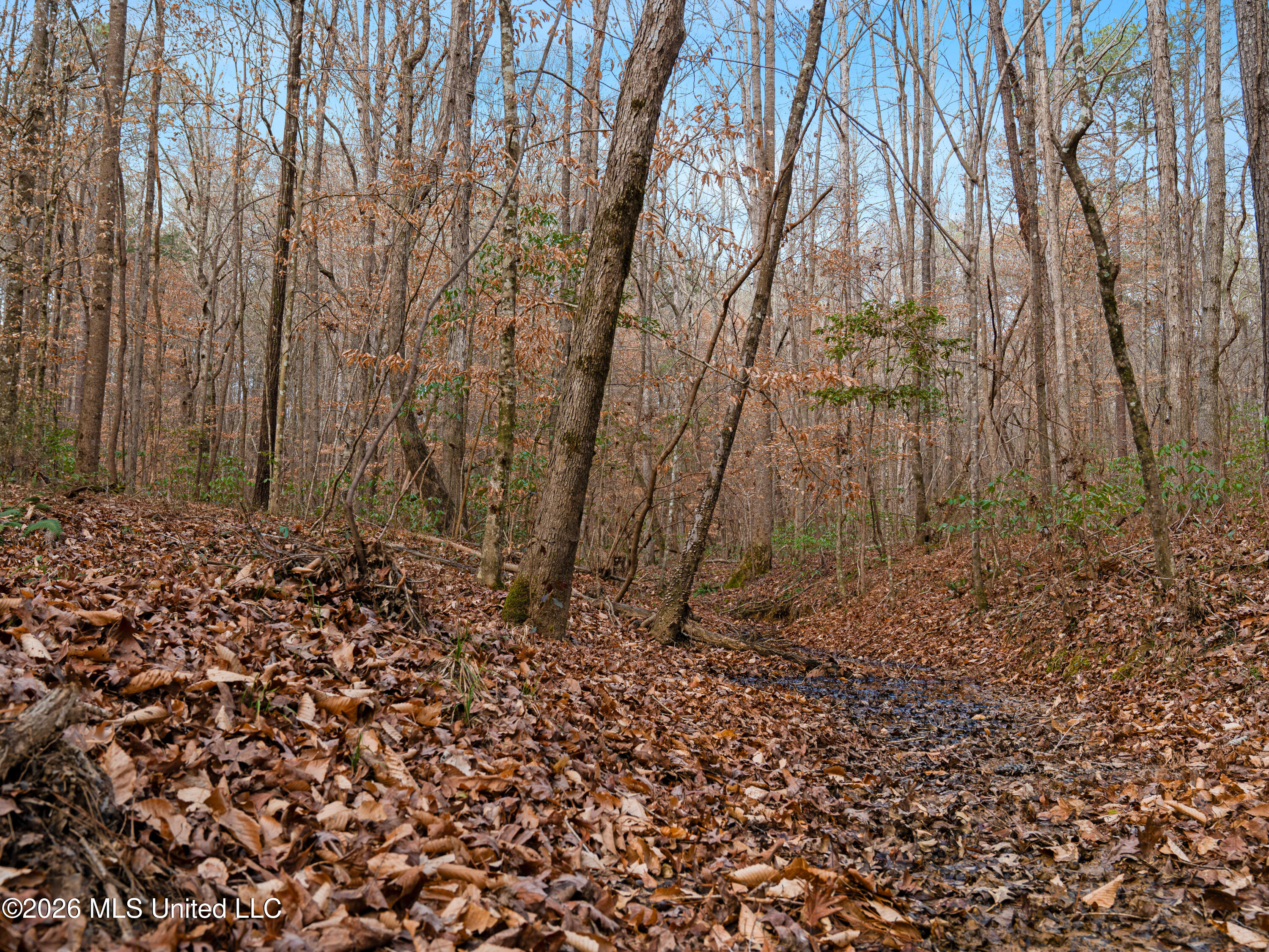 0 Utah Road Lena, MS 39094 - Photo 17 of 36 A7401754