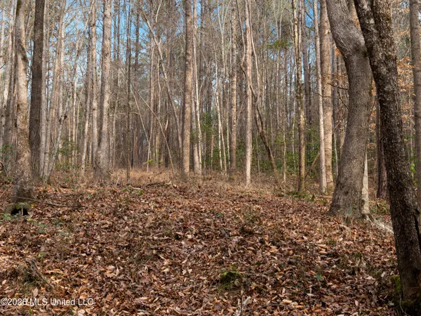 $159,600 | 0 Utah Road, Lena, MS 39094