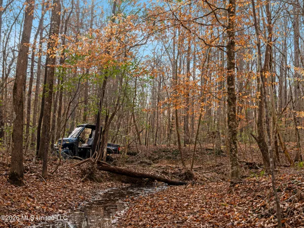 $159,600 | 0 Utah Road, Lena, MS 39094