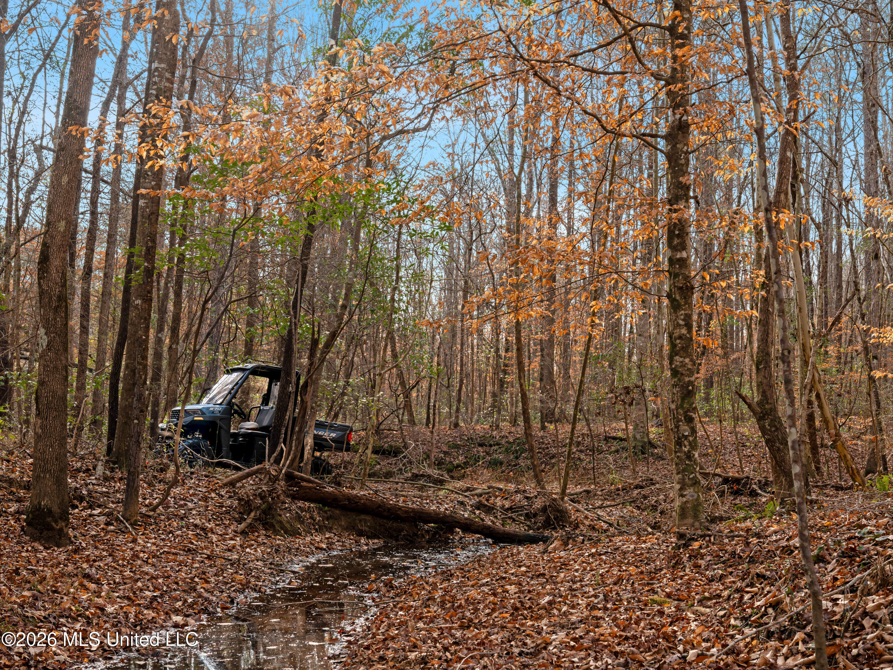 0 Utah Road Lena, MS 39094 - Photo 19 of 36 A7401756