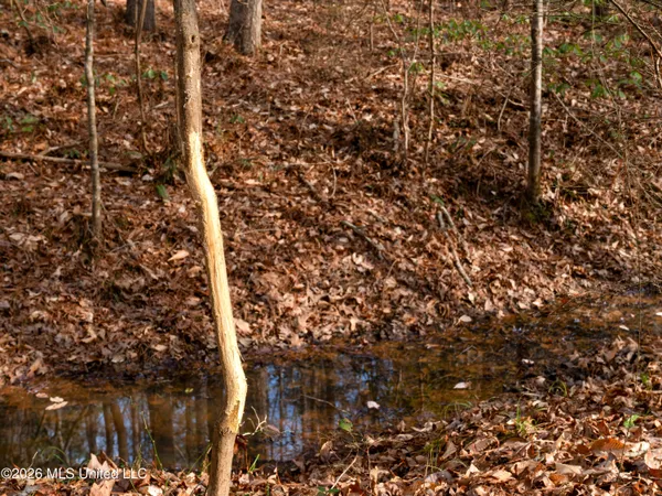 $159,600 | 0 Utah Road, Lena, MS 39094