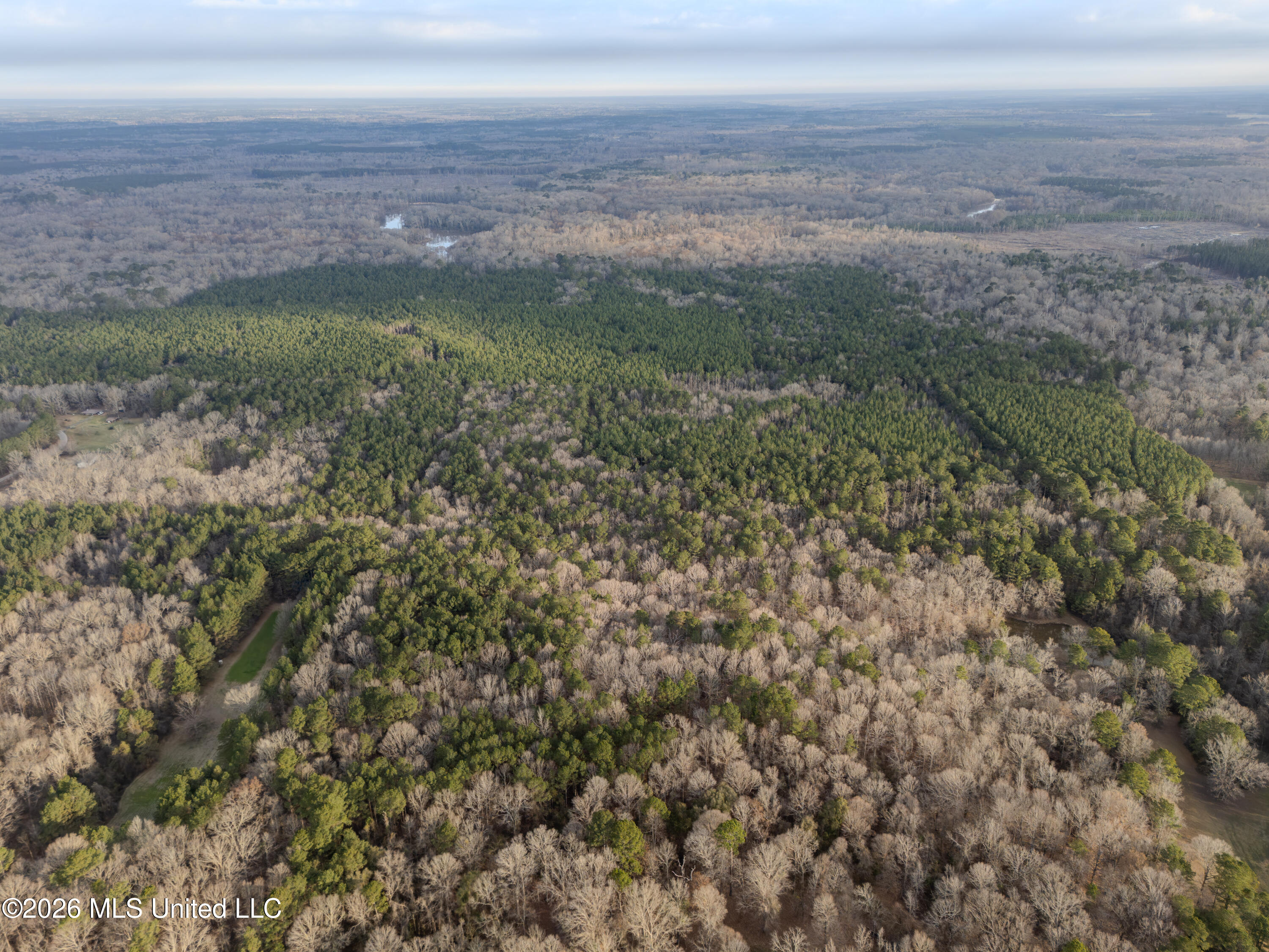 0 Utah Road Lena, MS 39094 - Photo 2 of 36 DJI_20260220074635_0008_D