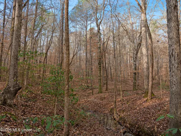 $159,600 | 0 Utah Road, Lena, MS 39094