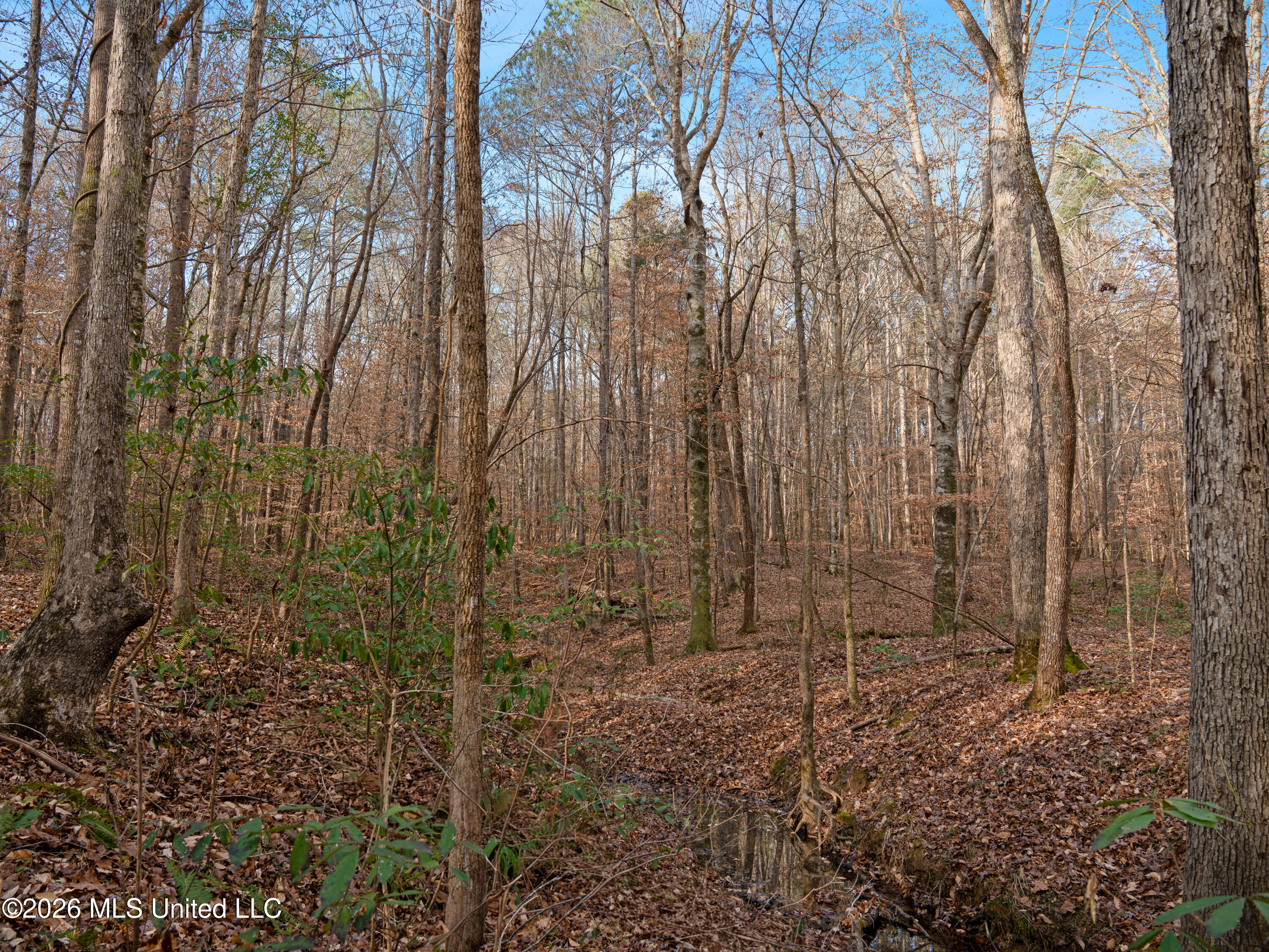 0 Utah Road Lena, MS 39094 - Photo 21 of 36 A7401759