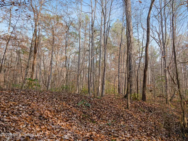 $159,600 | 0 Utah Road, Lena, MS 39094