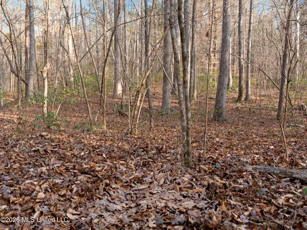 $159,600 | 0 Utah Road, Lena, MS 39094