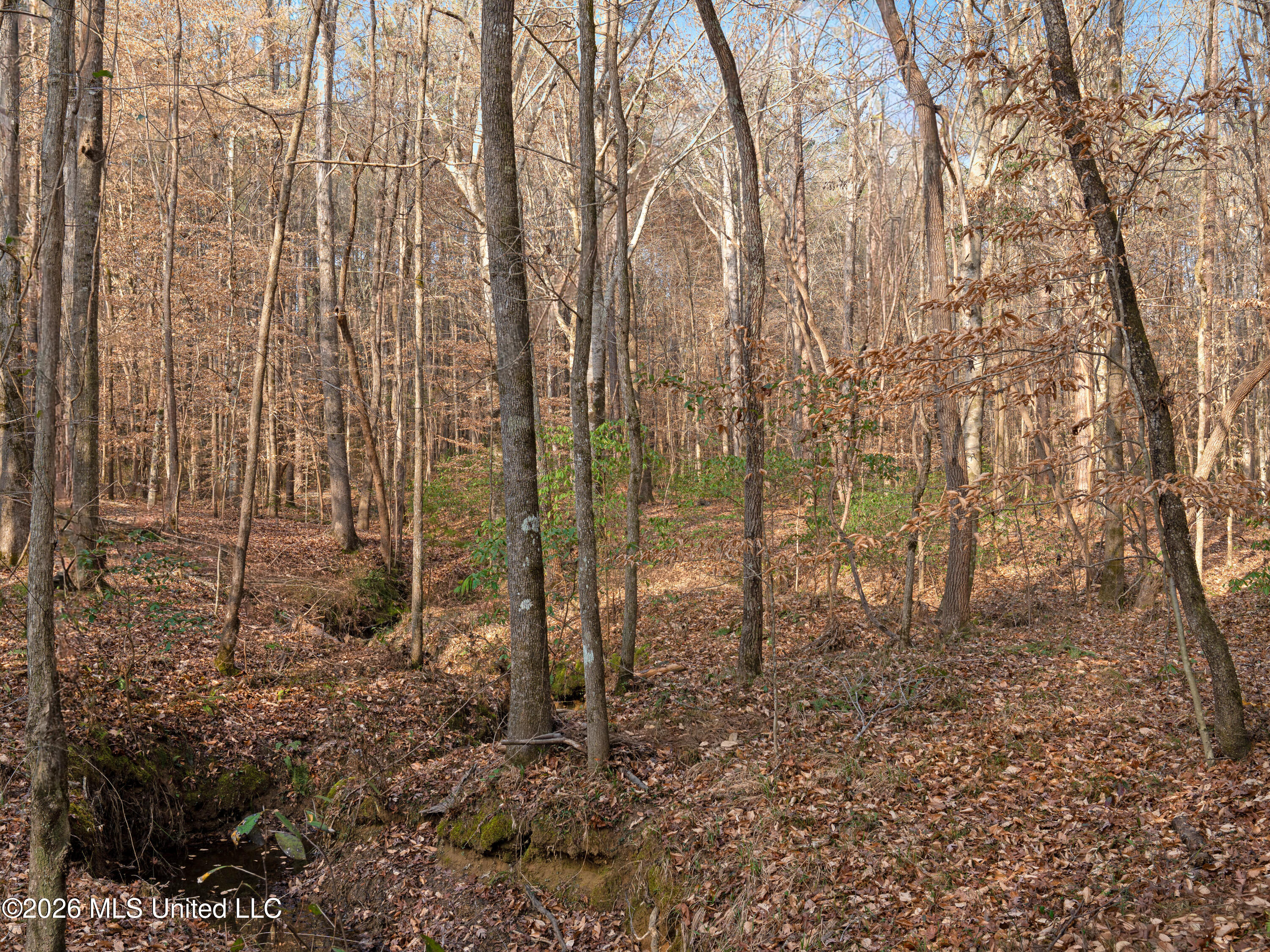 0 Utah Road Lena, MS 39094 - Photo 24 of 36 A7401763