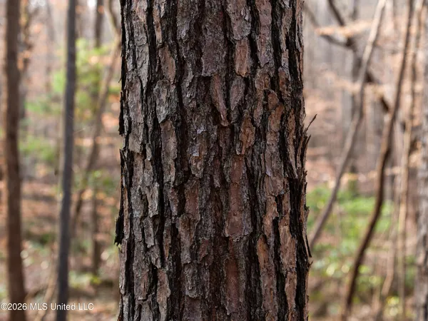 $159,600 | 0 Utah Road, Lena, MS 39094