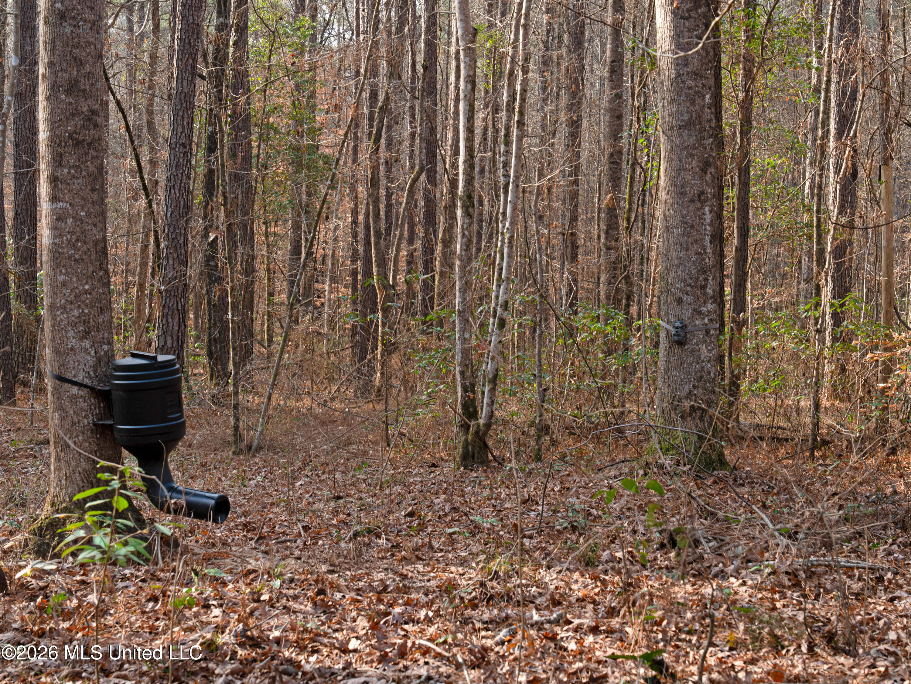 0 Utah Road Lena, MS 39094 - Photo 29 of 36 A7401771