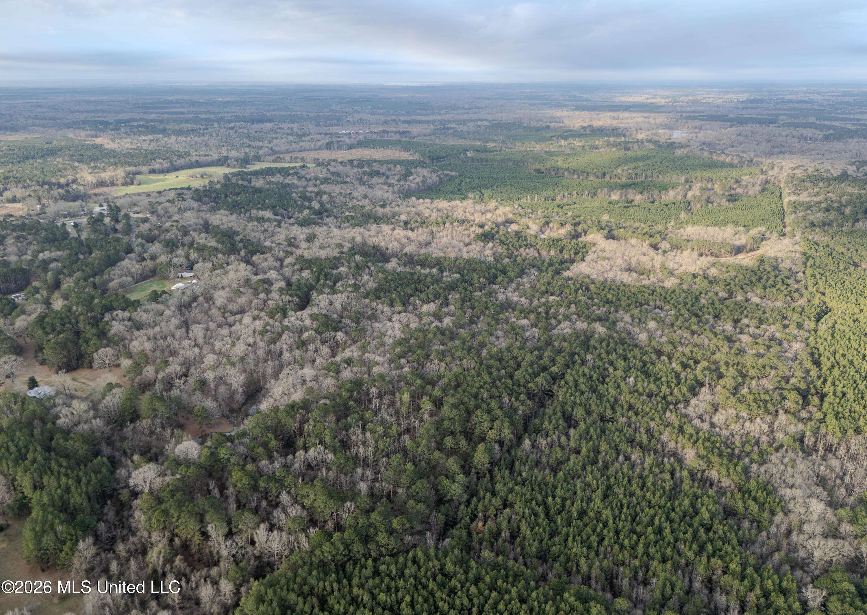 0 Utah Road Lena, MS 39094 - Photo 3 of 36 DJI_20260220075005_0017_D