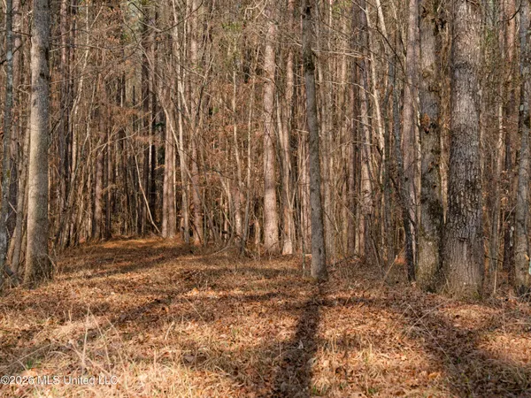 $159,600 | 0 Utah Road, Lena, MS 39094