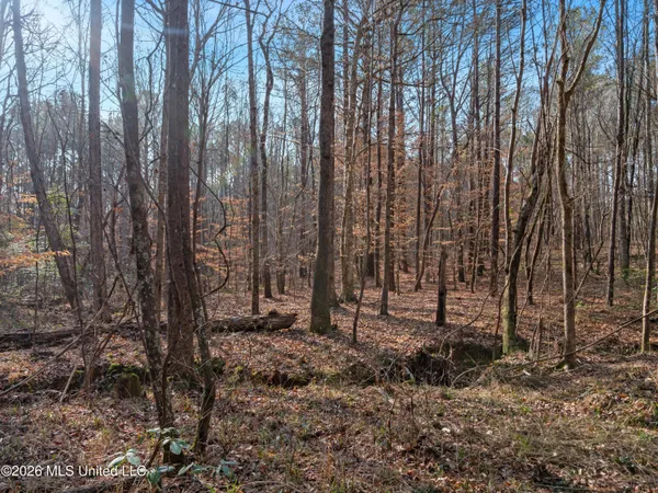 $159,600 | 0 Utah Road, Lena, MS 39094