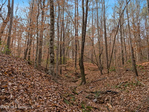 $159,600 | 0 Utah Road, Lena, MS 39094