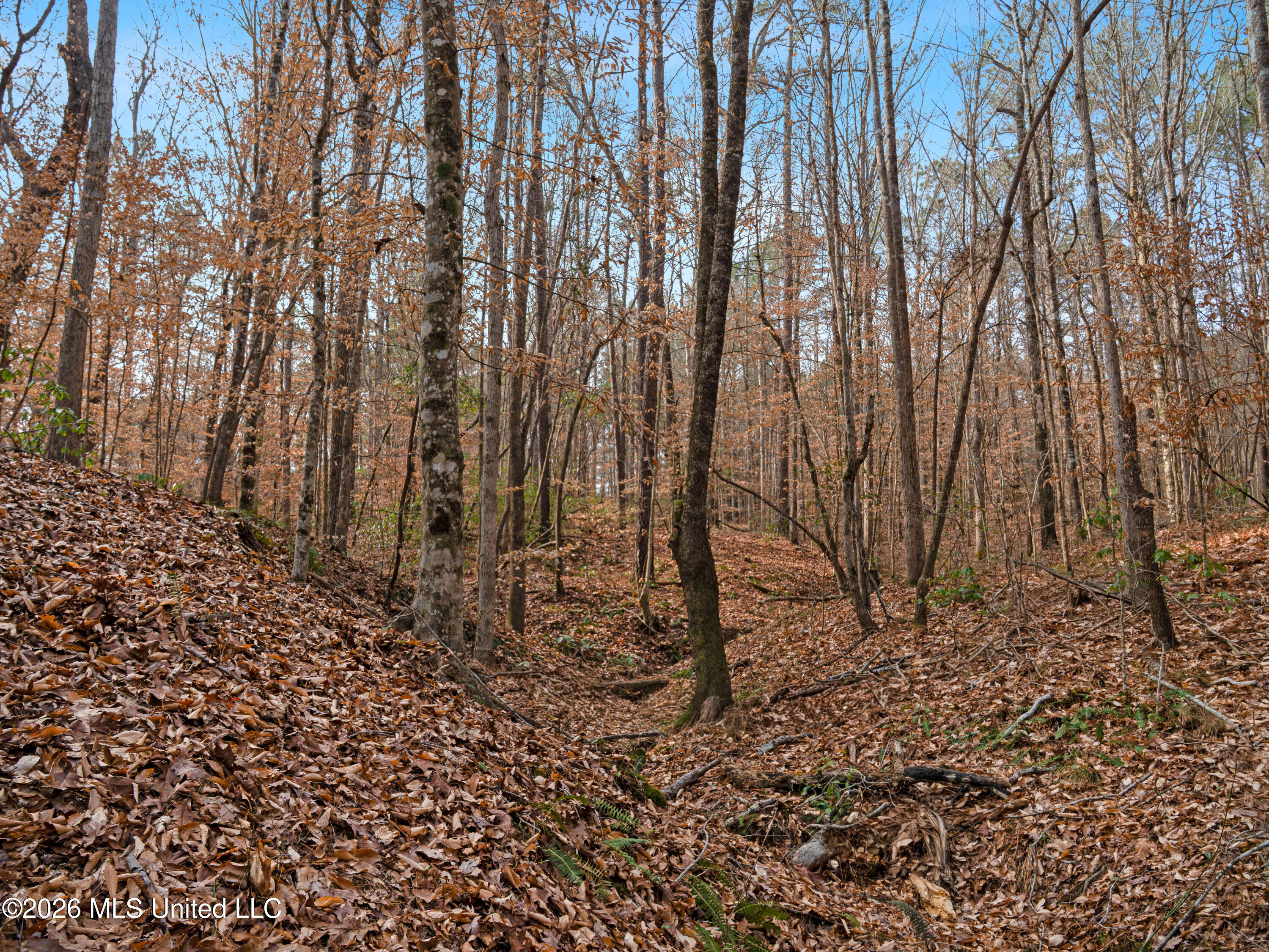 0 Utah Road Lena, MS 39094 - Photo 36 of 36 A7401786