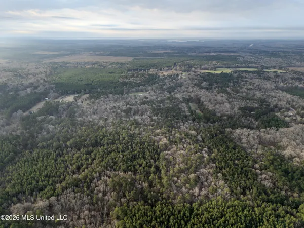 $159,600 | 0 Utah Road, Lena, MS 39094