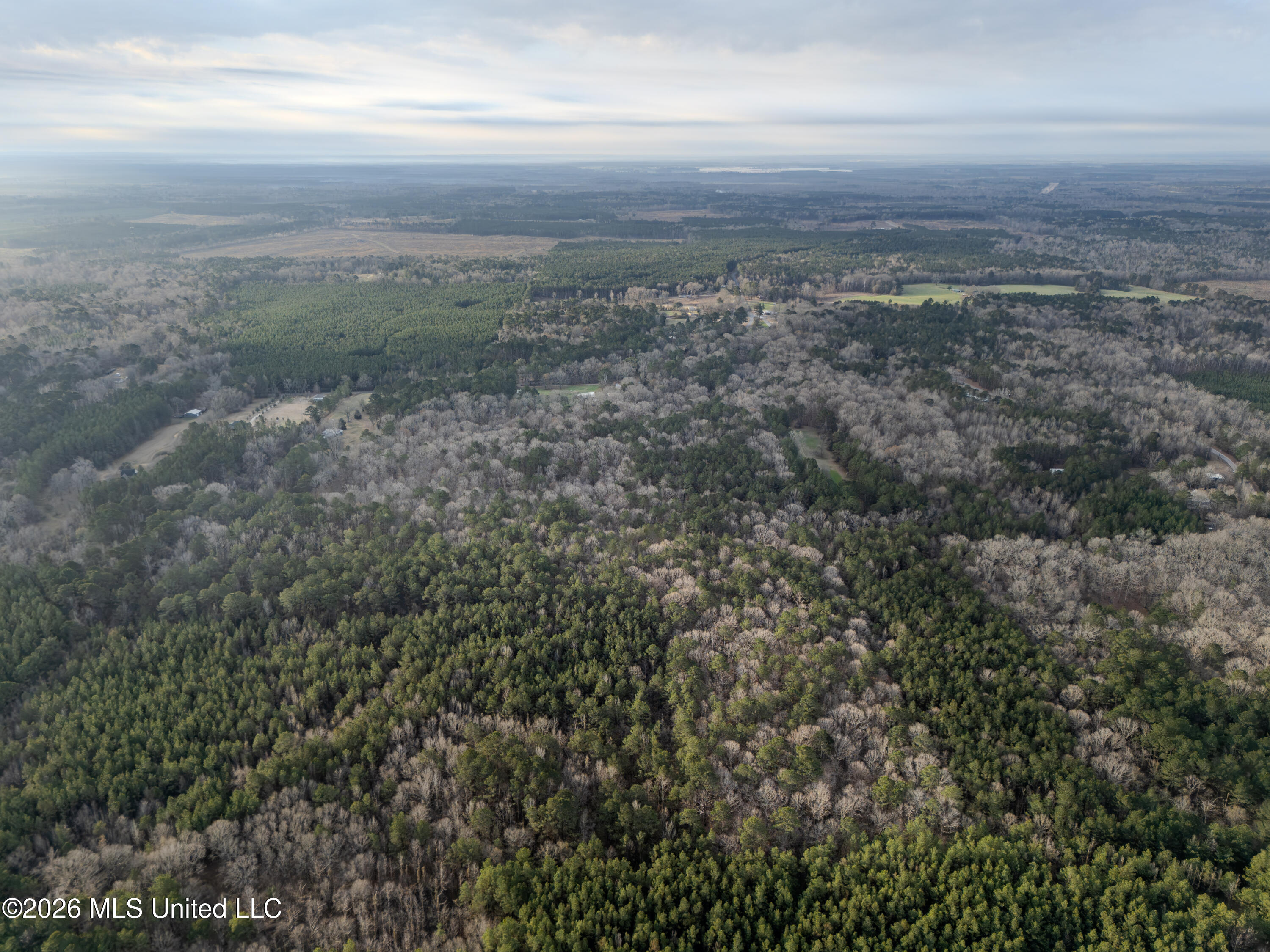 0 Utah Road Lena, MS 39094 - Photo 4 of 36 DJI_20260220075127_0020_D