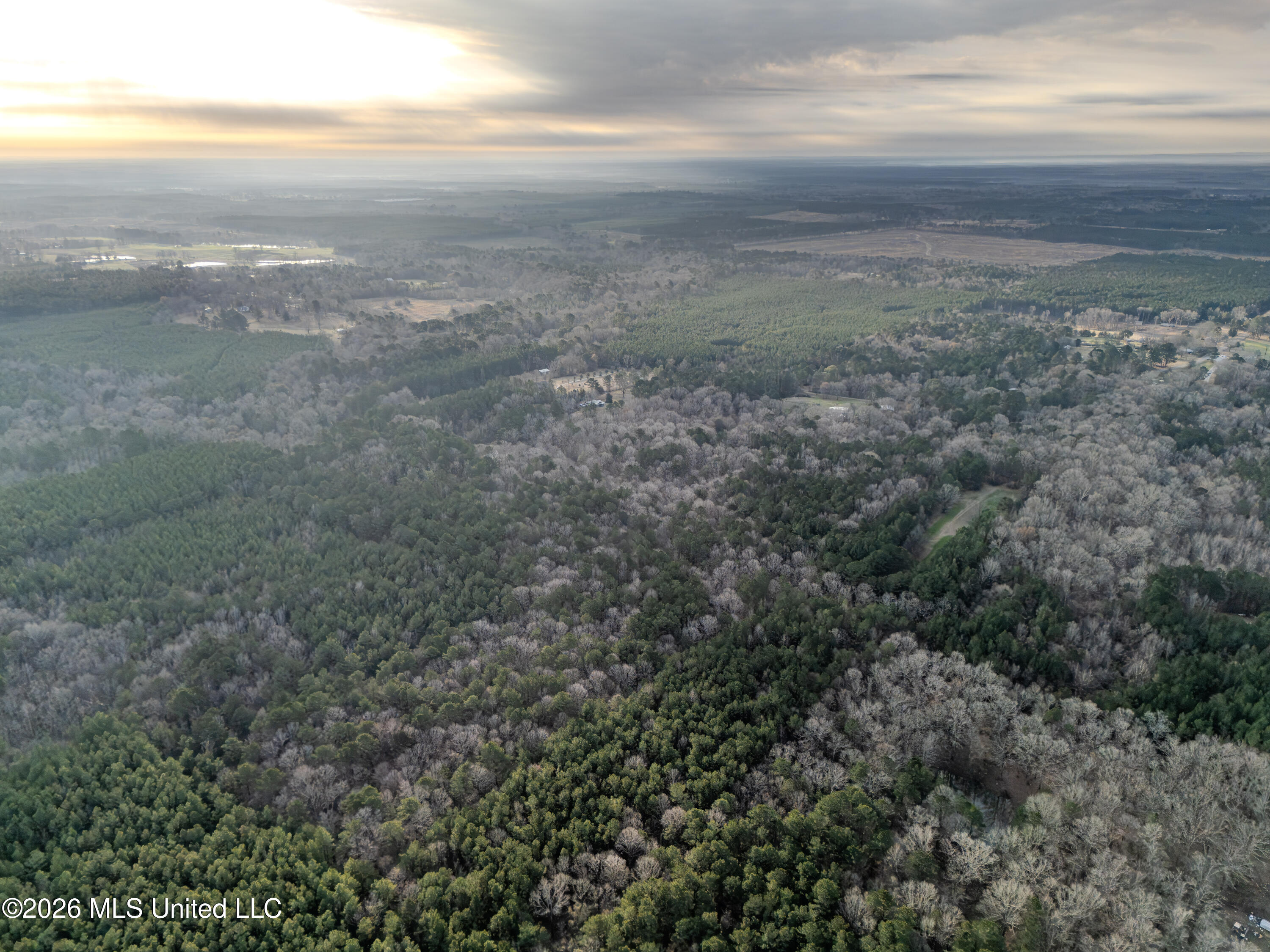 0 Utah Road Lena, MS 39094 - Photo 5 of 36 DJI_20260220075222_0023_D