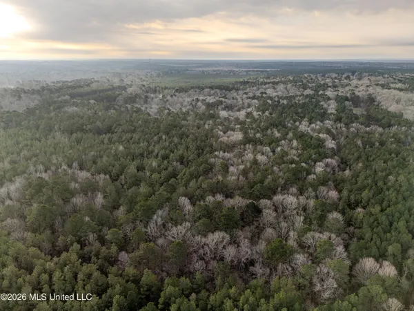 $159,600 | 0 Utah Road, Lena, MS 39094