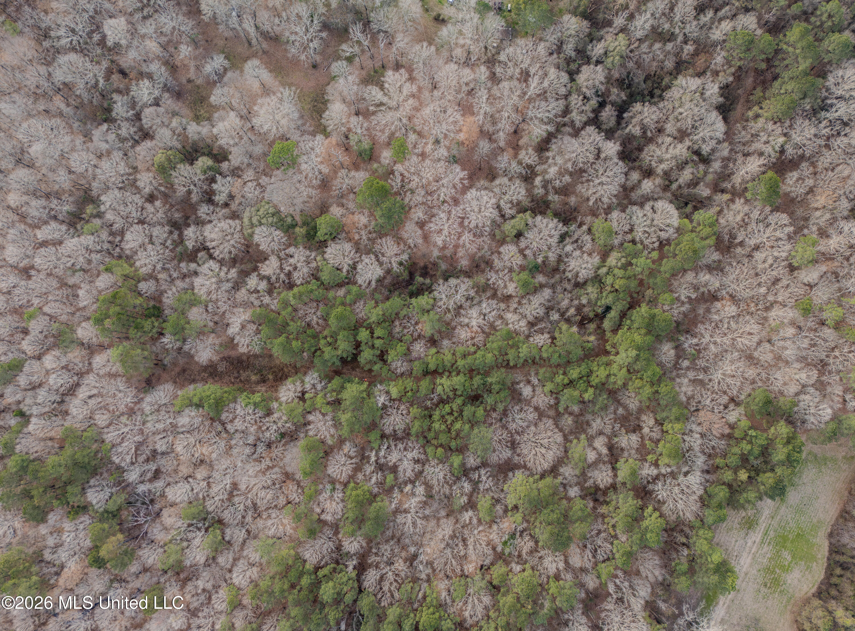 0 Utah Road Lena, MS 39094 - Photo 7 of 36 DJI_20260220075533_0032_D