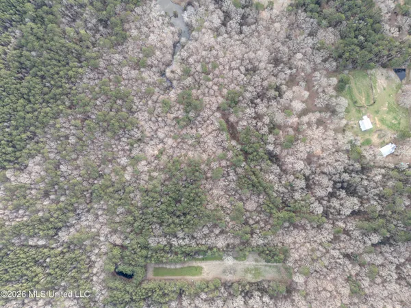 $159,600 | 0 Utah Road, Lena, MS 39094