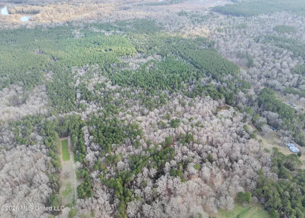 $159,600 | 0 Utah Road, Lena, MS 39094