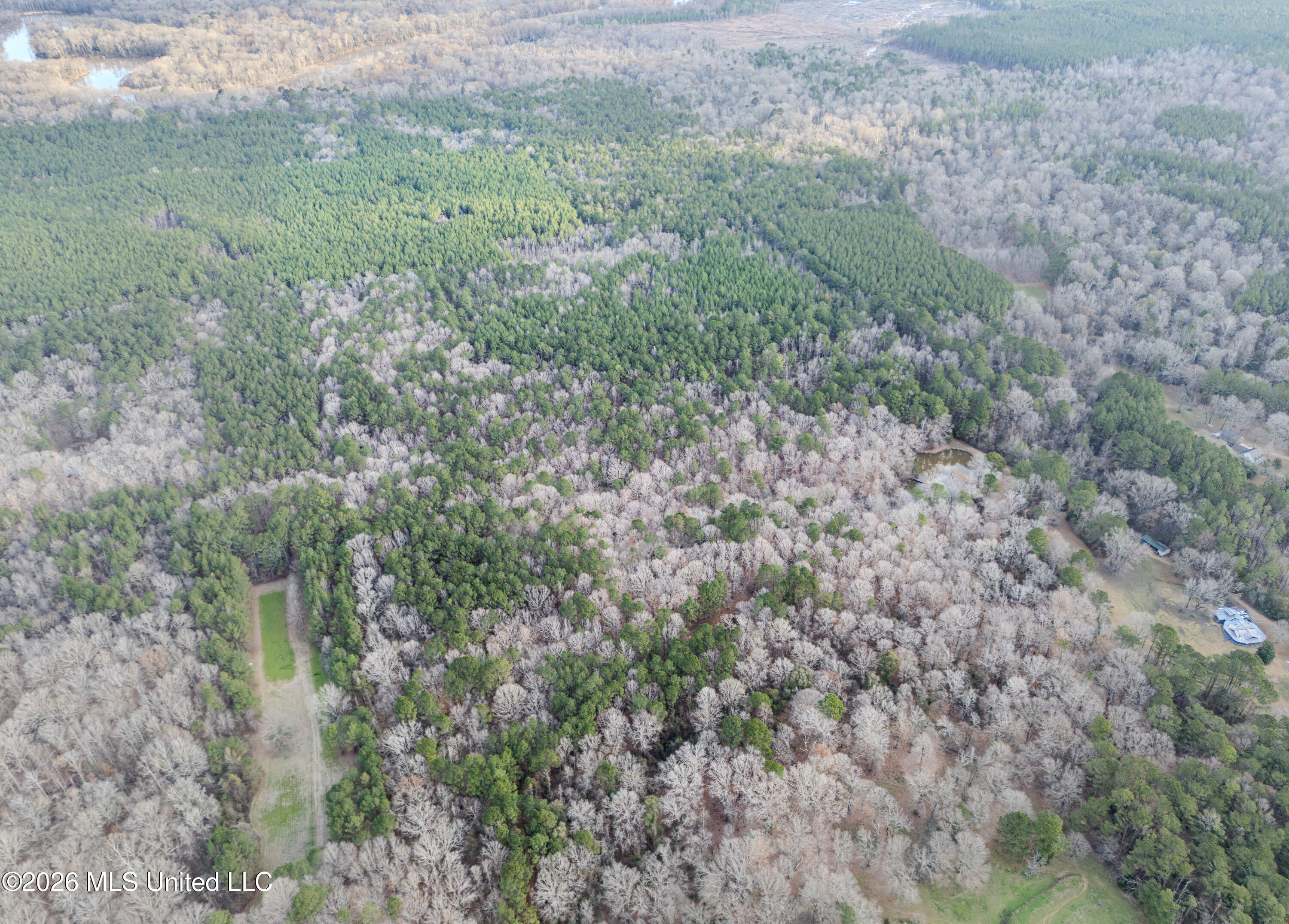 0 Utah Road Lena, MS 39094 - Photo 9 of 36 DJI_20260220075746_0038_D