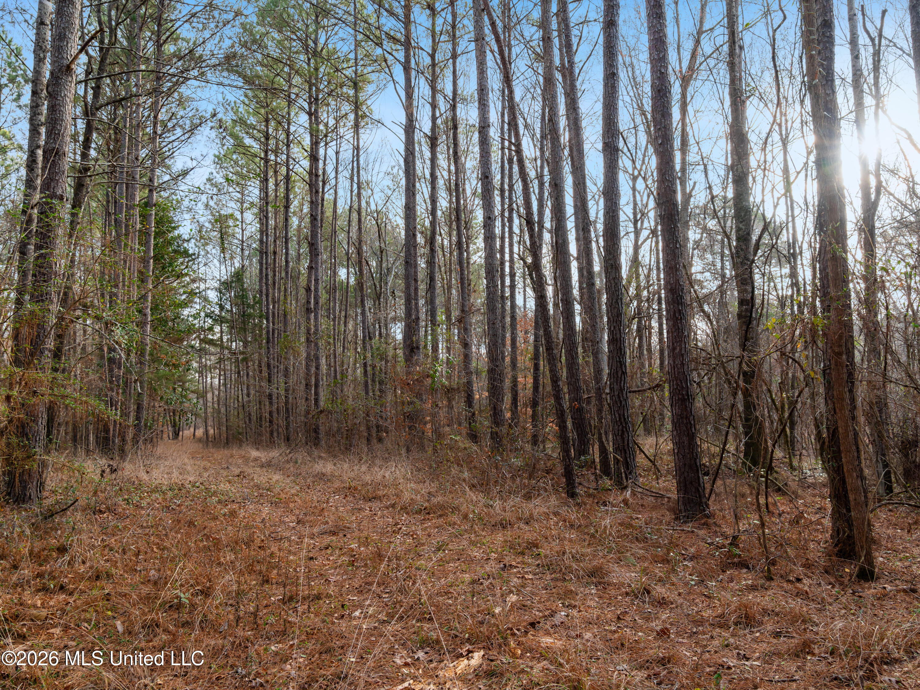 0 Utah Road Lena, MS 39094 - Photo 10 of 36 A7401737