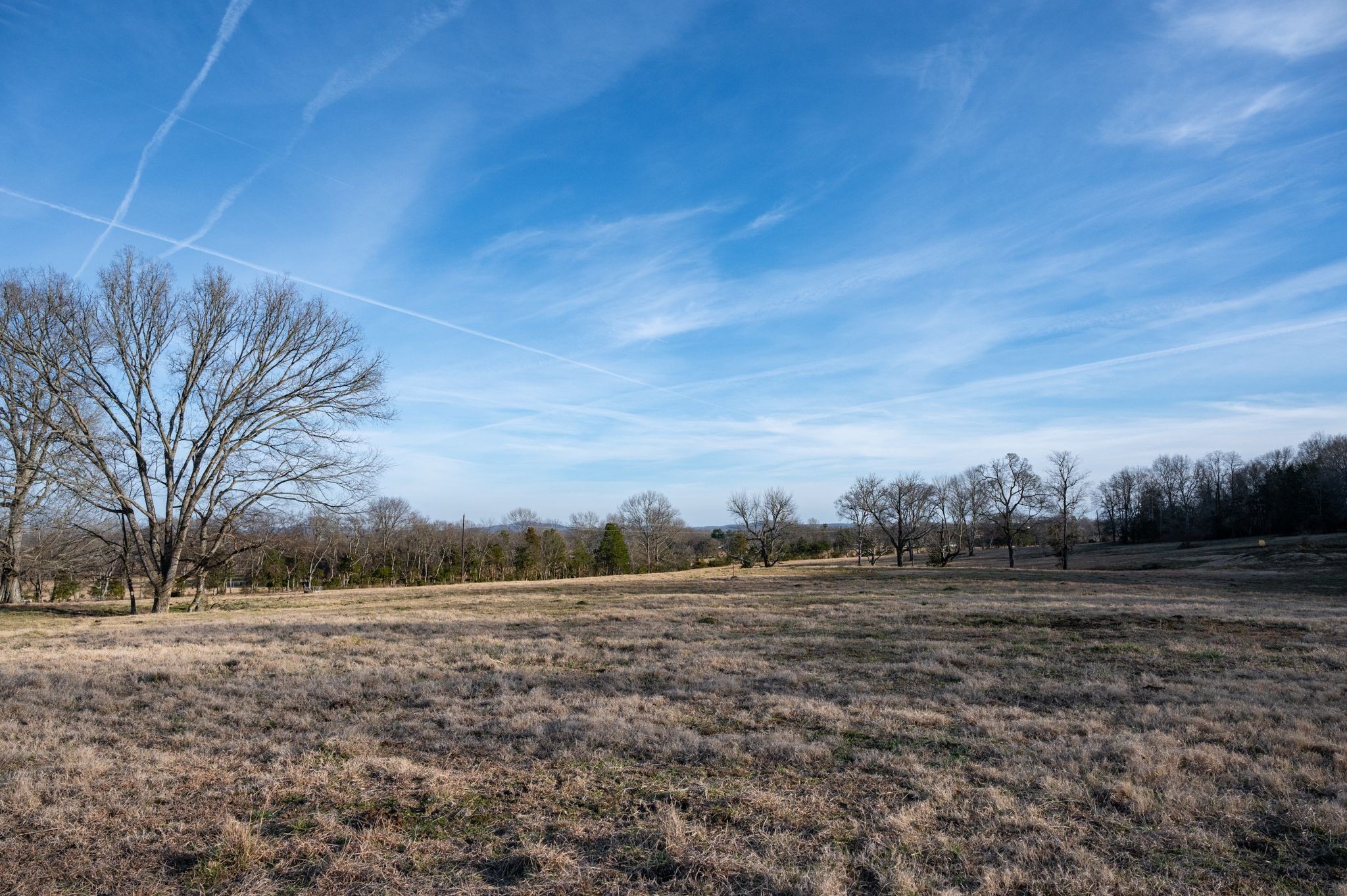 0 Webb Road Eagleville, TN 37060 - Photo 4 of 7 a view of dirt field with trees