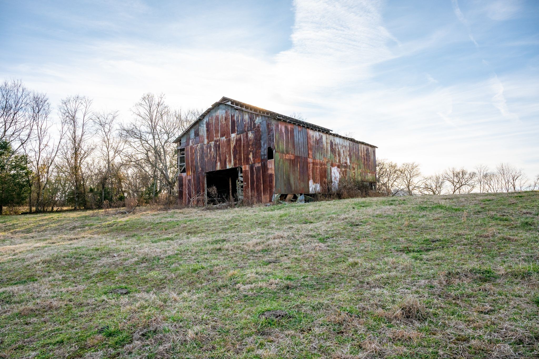 0 Webb Road Eagleville, TN 37060 - Photo 7 of 7 a view of a house with backyard and trees