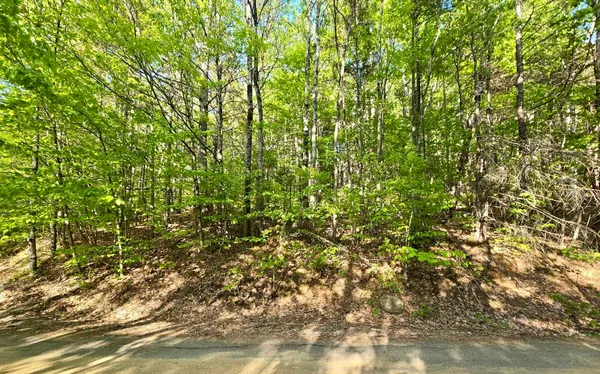 $58,000 | 0 Isaac Fox Drive, Campton, NH 03223