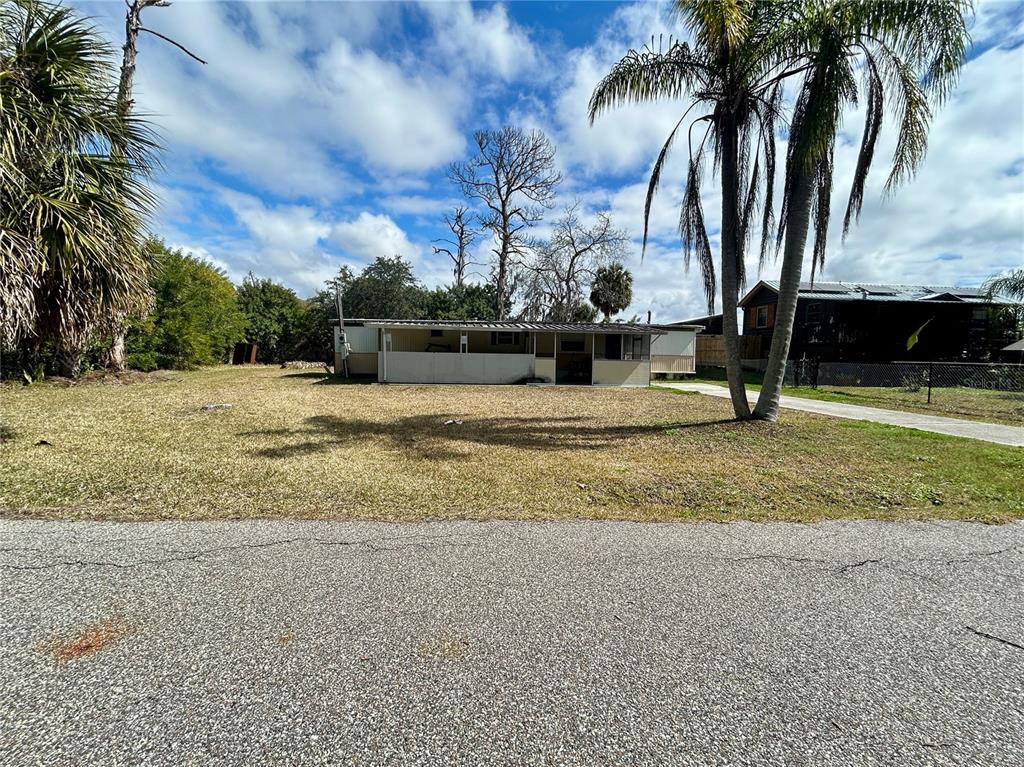 a view of dirt yard with palm trees