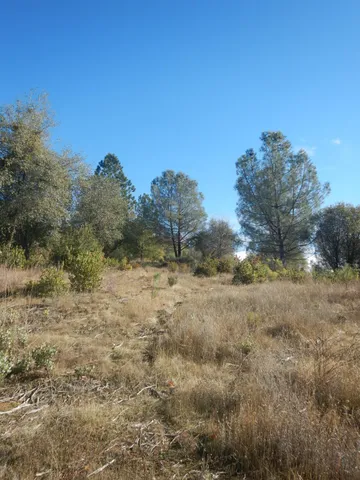 a view of yard covered with snow in outdoor