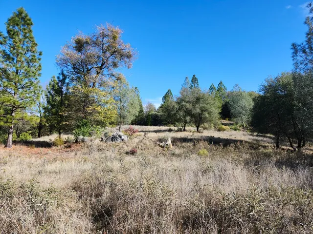 a view of a yard with a tree