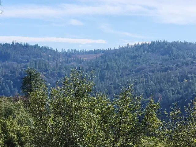 a backyard of a house with lots of green space