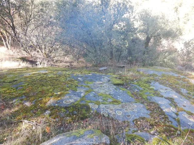 a view of a yard with an outdoor space