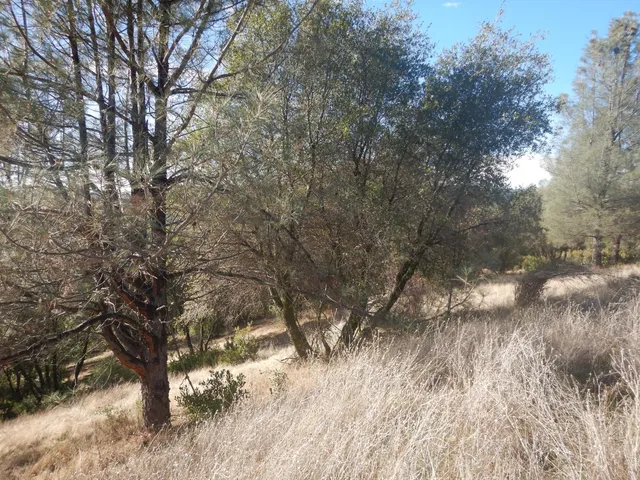 $247,999 | 3000 Gravel Court, Placerville, CA 95667