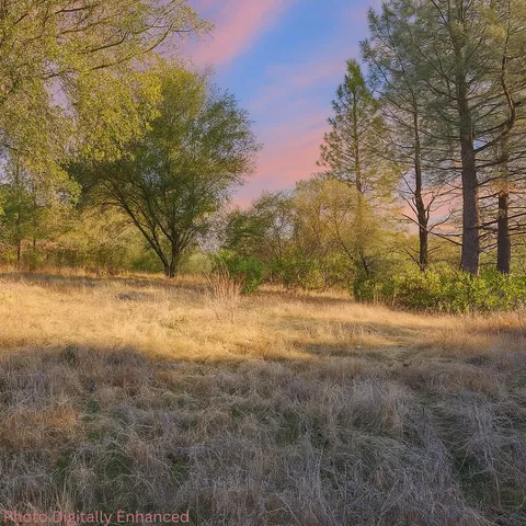 a view of dirt yard with a tree