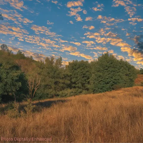 a view of a lake with a yard