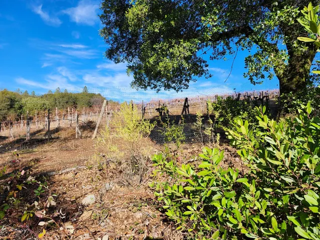 a view of a lake with houses