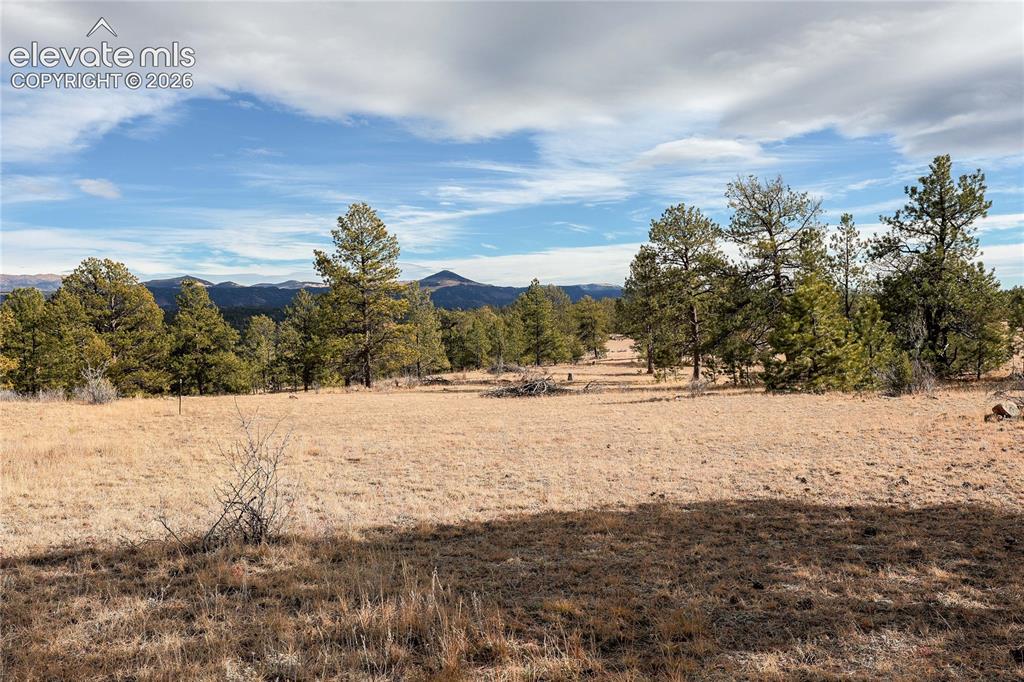 0 Twinkle Road Guffey, CO 80820 - Photo 12 of 20