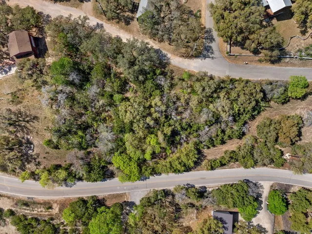 a view of a yard with plants