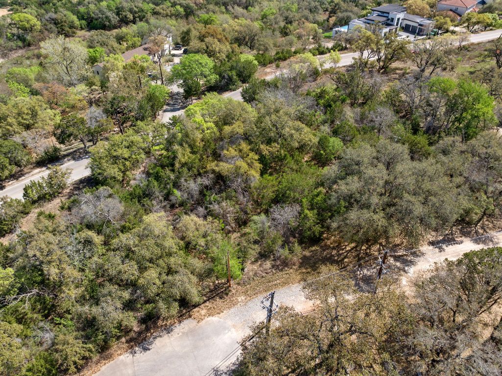 17009 Clara Van Street Austin, TX 78734 - Photo 16 of 25 a view of a forest with a tree
