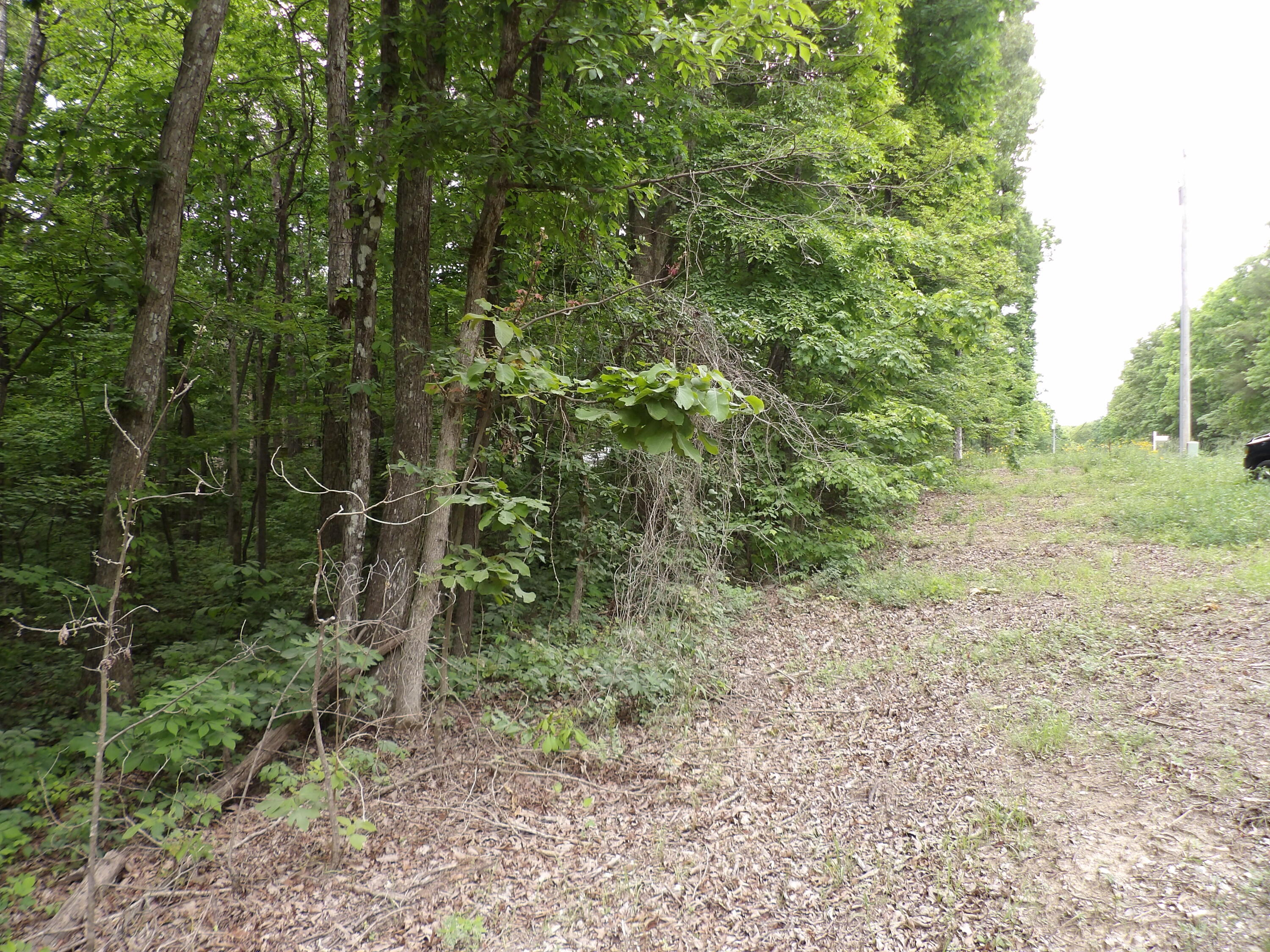 0 Ridge Road West Crossville, TN 38572 - Photo 8 of 10 100_2499