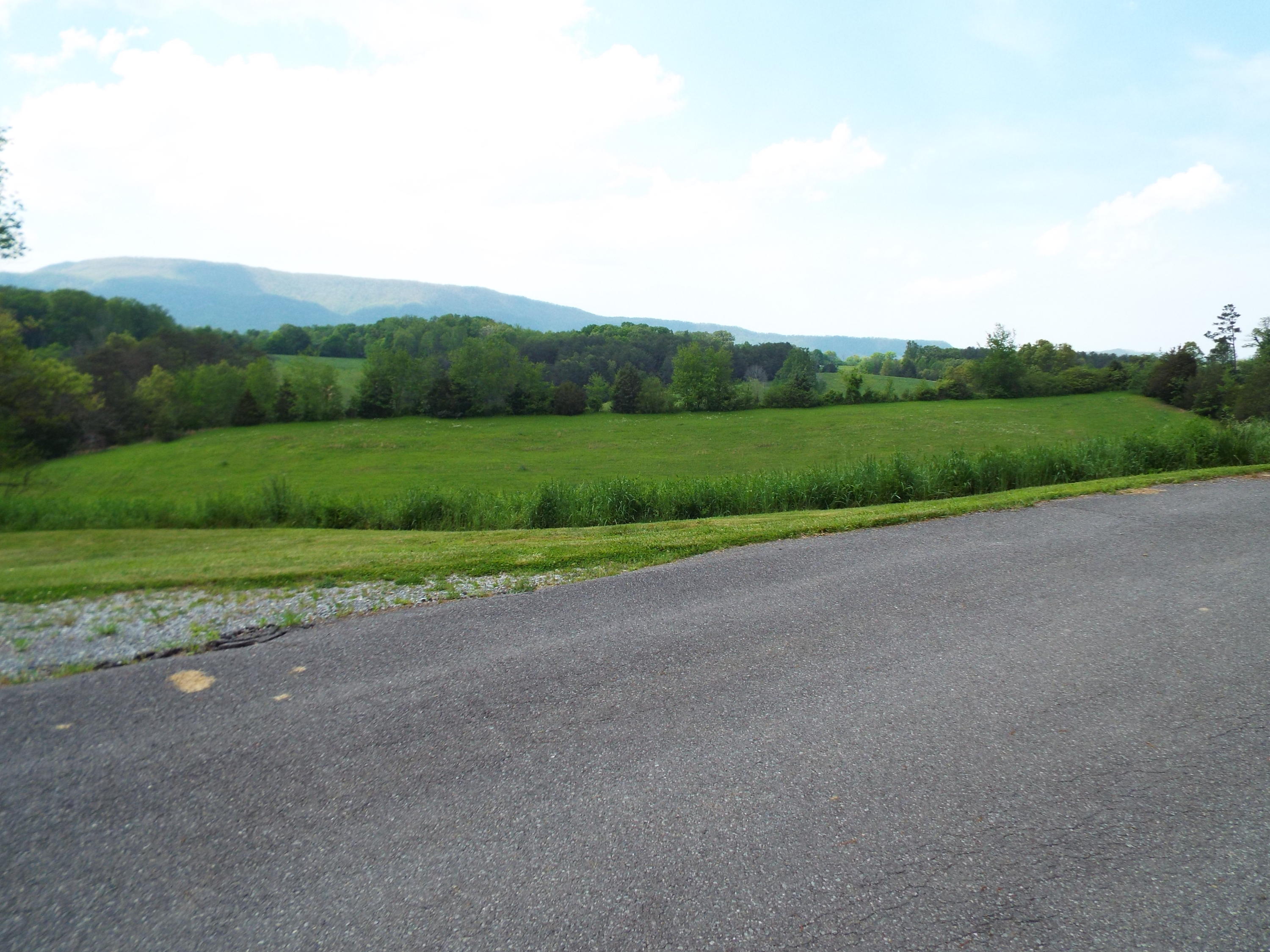 2761 Early Road Newport, TN 37821 - Photo 14 of 28 DSCF6878