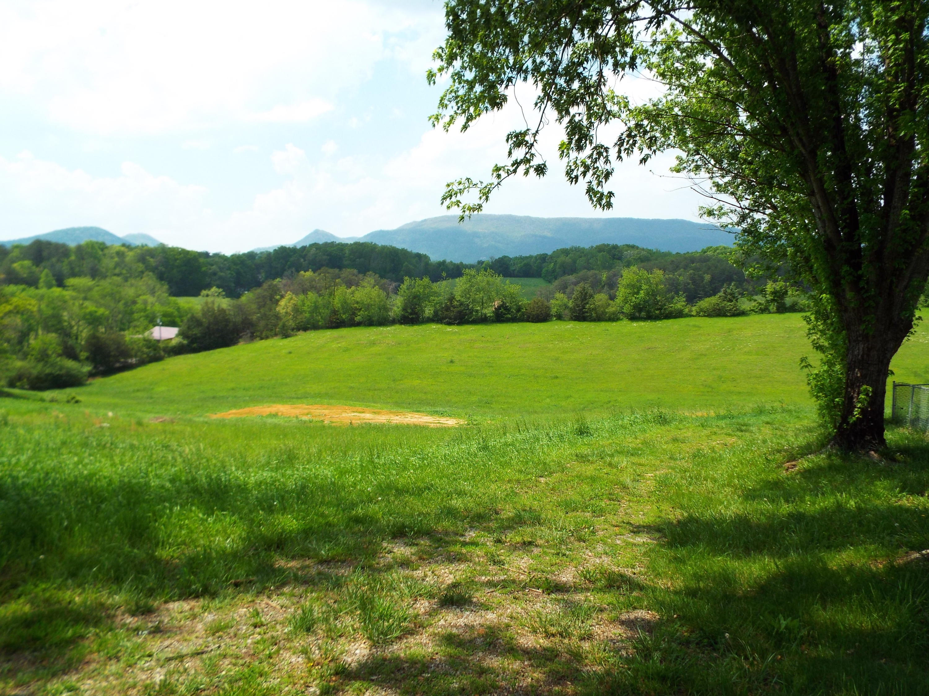 2761 Early Road Newport, TN 37821 - Photo 22 of 28 DSCF6886